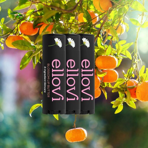 Ellovi Natural Lip Butter Lip Balm - Blossom - Pure Enough to Eat - Made With Just 6 Vegan Ingredients - Moisturizing Lip Care for All Day Hydration (4-Pack)