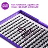 Lash Clusters DIY Eyelash Extension: Mega Volume C D Curl Individual Lashes 192PCS - Eyelash Clusters Extensions Wispy Natural Look False Lashes Cluster Fake DIY at Home 9-16mm RW03 by Risute