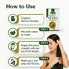 Henna Powder for Hair – 100g Premium Quality, 100% Natural, and Chemical-Free