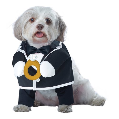 California Costumes Pet Puppy Love-Groom Dog Costume Costume
