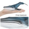 Ocean Sea Marine Animal Figure Toys Playsets 3 PCS Diver Blue Whale Sea Turtle Model Toy Desktop Decoration Collection Party Favors Toys for Boys Girls Kids