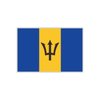 Womaha 30 Sheets Barbadian Flag Temporary Tattoos Fans Face Tattoo Stickers for Adults Kids Group Activity Props