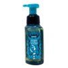 Bath & Body Works Wicked Vanilla Woods 2 Pack Gentle Foaming Hand Soap Bundle with a Charcoal Scrub Bar Soap - Full Size
