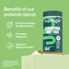 Supergut Foundational Daily Fiber Powder, Sugar Free & Vegan Prebiotic Fiber Blend for Gut Health & Digestive Support, Supplement for Men & Women with Solnul & Sunfiber, Unflavored, 20 Servings