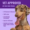 Dog Vitamins Supplements Raw and Homemade Dog Food Multivitamins Minerals Powder 1lb Veggie Flavor