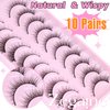 Natural Lashes Cat Eye Lashes 10 Pairs Wispy Lash Strips 12MM Short Lashes Natural Eyelashes Extensions Fox Eye Lashes Fluffy Faux Mink Lashes Strip by Zegaine