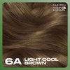 Clairol Natural Instincts Demi-Permanent Hair Dye, 6A Light Cool Brown Hair Color, Pack of 1
