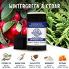 American Provenance All Natural Deodorant for Men and Women - Aluminum Free Deodorant that Lasts All Day - Made in the USA with Essential Oils & Cruelty Free - Wintergreen, Fir, Cedar (1 Pack)