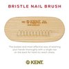 Kent NB3 Natural Bristle Fingernail Brush and Hand Scrub Brush for Nails. Beechwood Finger Nail Brush to Clean Nails and Nail Scrubber Brush for Hands, Feet, Fingernails, and Toenails. Made in England
