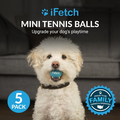 iFetch Mini Tennis Balls for Small and Medium Dogs, Toy Ball 5 Pack, Use Automatic Launcher Frenzy Brain Game, Blue, 1.5 Inch Diameter