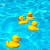 Gamie Duck Pond Matching Game for Kids includes 20 Plastic Ducks with Numbers and 3’ x 6” Inflatable Pool - Fun Memory Game - Water Outdoor Game for Children, Preschoolers, Birthday Party