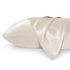Bedsure Satin Pillowcase for Hair and Skin Queen -Beige Silky 20x30 Inches - Set of 2 with Envelope Closure, Similar to Silk, Gifts for Women Men
