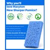 Maryton New Sharper Pumice, Professional Pedicure Tools Foot Scrubber Salon Disposable Pumice Stone Callus Remover for Feet, 40Pcs (Blue)