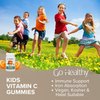 Go Healthy Vitamin C Gummies for Kids, Vegan, Vegetarian, Non-GMO, Gluten Free, Kosher & Halal - 60 Servings