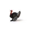 Schleich Farm World, Farm Animal Toys for Boys and Girls, Realistic Bird Toys, Turkey Toy Figurine