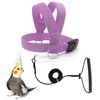 VANFAVORI Bird Harness with Buckle Clip and A Leash, Outdoor Flying Kit for Bird Parrots Cockatiel S Size Weight 85-105 Grams, Purple