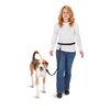 PetSafe Pet Hands Free Leash, Black
