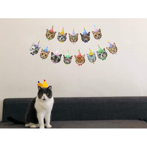 Cat Happy Birthday Banner,Photographic Cat Faces Birthday Garland,Party Bunting Decoration for Boy and Girl,Baby Shower Party Supplies for Cat Theme Party Favors