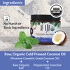 Organic Fiji Whole Body Scrub - Infused with Coconut Oil, Exfoliating Sea salt Scrub for Smooth and Soft Skin, Exfoliates & Restores Skin's Natural Biosphere, Peppermint 20 oz