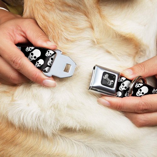 Buckle-Down Seatbelt Buckle Dog Collar - Tilted Skulls Black/White - 1" Wide - Fits 11-17" Neck - Medium