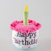 Ushang Pet Happy Birthday Cake Catnip Toys, Birthday Cake Shaped Chew Toys for Kitten Funny Cats Gifts Plush Cat Birthday Party Toys, Pink