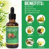 Rehoboth Creative Collection Botanical Blend Herbal Hair Oil for Dry Hair & Scalp, Promotes Strong Hair Strands, Enhances Scalp Hydration - Makes Hair Shinier & Softer