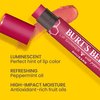 Burt's Bees Shimmer Lip Tint Stocking Stuffers Set, Tinted Lip Balm Stick, Moisturizing for All Day Hydration with Natural Glowy Pigmented Finish & Buildable Color, Rhubarb (1-Pack)