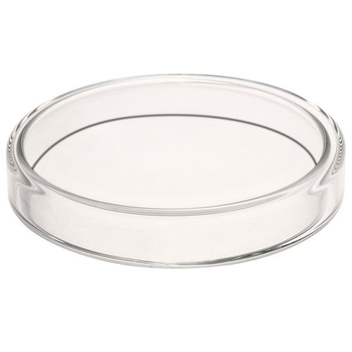 Glass Petri Dish Petri Plates Tissue Culture Plate 5 Pcs (90 mm)