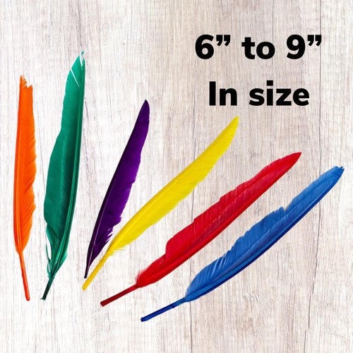 ALAZCO 120 pcs Colorful Goose Feathers Natural Feathers for DIY Crafts Assorted Sizes 6” to 9” in Red, Yellow, Blue, Green, Orange and Purple