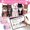 37 Pcs Adopt A Cat Party Favors Include 12 Foldable Kitten Boxes 12 Mini Stuffed Cat 12 Card 1 Stand for Adopt A Kitty Party Favors Cat Party Supplies Gifts