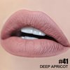 FOCALLURE Ultra Matte Liquid Lipstick,Longwear Rich Lip Colors,Easy to Create a Sexy Lips with High-grade Formula,Long Lasting Waterproof Lipstick Make Up,DEEP APRICOT