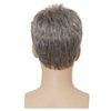Salaibs Grey Short Wigs for Men Natural Layered Realistic Synthetic Wigs for Male Guy Halloween Daily Wig