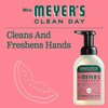 Mrs. Meyer's Foaming Hand Soap, Watermelon, 10 Ounce (Pack of 2)