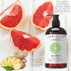 Laritelle Organic Shampoo 17.5 oz | Organic Quinoa + Keratin + Follicle Stimulating Rosemary, Ginger & Grapefruit | Hair Loss Prevention, Clarifying, Softening, Strengthening | NO GMO. Vegan