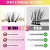 Lash Clusters D Curl Diy Lash Extensions Cluster Lashes 10-16mm Length Eyelash Clusters Wispy Reusable Soft Natural Individual Lashes Cluster Thin Band For Makeup at Home by WLFRHD(Athena)