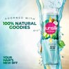 sunsilk Coconut Water & Aloe Vera Volume Hair Shampoo, 195 ml / 6.5 fl.oz