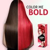 Nisha Cosglam Vegan And Cruelty Free Semi Permanent Hair Color, Bright Red Hair Dye With Infused Conditioner | No Ammonia, Hair Highlights For Long Hair -120g / 4.06 Fl Oz (#23 Valentine Red)