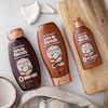 Garnier Whole Blends Smoothing Shampoo with Coconut Oil & Cocoa Butter Extracts, 12.5 Fl Oz (Packaging May Vary), 2 Count