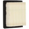 Tecumseh 36046 Air Filter