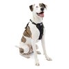Kurgo Tru-Fit Enhanced Strength Dog Harness - Crash Tested Car Safety Harness for Dogs, No Pull Dog Harness, includes Pet Safety Seat Belt (Black, Medium)