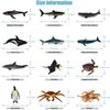 RECUR Sea Animal Toys for Kids 12pcs Ocean Animal Figures Mini Animal Toys Figures Under The Sea Party Favor for Boy Including Shark Octopus Crab Plastic Animal Figurines Bath Toys