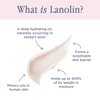 Lanolips Lanolin Lip Water - Clear Lip Gloss Serum - Hyaluronic Acid Lip Balm and for a Shimmery, Hydrated Lip Glow - Lanolin Oil Lip Moisturizer for Dry, Cracked Lips (10ml / 0.34 fl oz)