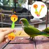 ULTECHNOVO 2Pc Enrichment Barbell Ball Toys Sand Hammer Shaker Rattle Conure Bird Toys Parakeets Conure Toys Chicken Enrichment Toys Bird Rattles Bells Foot Toys recreation Parrot infant