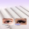 Veritee 1000 fans Camellia Promade Lash Extensions Supplie Fluffy 6D 0.07 Pro Made 8-15mm Lengths for Pre Made Natural Classic Volume and Hybrid Set Premade Lash Fans Eyelash Extensions (D curl, 15mm)