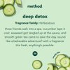 Method Body Wash, Daily Zen, Paraben and Phthalate Free, 18 oz (Pack of 1), Detoxifying