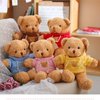 BSVOME 11.8 inches Teddy Bear Stuffed Animals Soft Plush Cute Teddy Bear with Hoodie Doll for Boys Girls (Red)