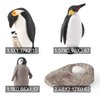 WONWONTOYS 4PCS Penguin Lifecycle Antarctica Penguin Figurines Toy Playset Arctic Penguins Early Educational Toys Cake Decoration Christmas Birthday Party Supplies Decor