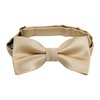 Alizeal Boys Adjustable Pre Tied Wedding Party Tuxedo Bow Tie, Champagne