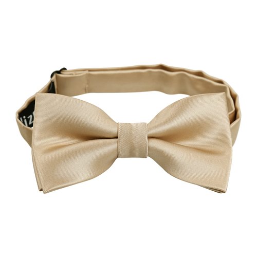 Alizeal Boys Adjustable Pre Tied Wedding Party Tuxedo Bow Tie, Champagne