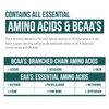 Plant Aminos Organic Essential Amino Acids (EAAs) & BCAA - 100% Plant-Based Raw, Vegan - All 9 Amino Acids with 18 Total Amino Acids (360 Tablets)